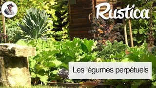 La culture des légumes perpétuels [upl. by Gabrielle]