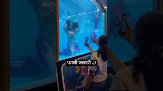 Real Jalpari  असली जलपरी🧜‍♀️  Jalpari video raigarh [upl. by Elonore]