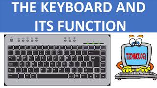 KEYBOARD AND ITS FUNCTION  FUNCTIONS OF THE KEYBOARD  BASIC COMPUTER  COMPUTER FUNDAMENTALS [upl. by Nalehp]