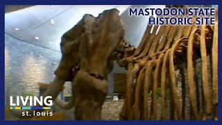 Mastodon State Historic Site  Living St Louis [upl. by Acinorahs]