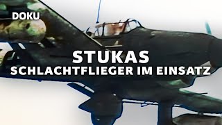 STUKAS – Schlachtflieger im Einsatz Dokumentation über Sturzkampfflugzeuge der Deutschen Luftwaffe [upl. by Mattie]