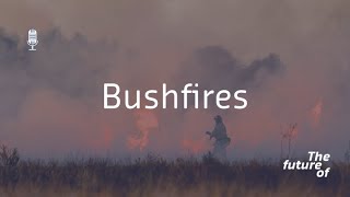 The Future Of Bushfires [upl. by Nnylsia]