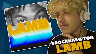 BROCKHAMPTON  LAMB REACTION [upl. by Etnor101]