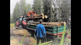 🌲 🌳 ForsttechnikWaldarbeit 🌲 🌳 Sturmholz aufräumen im Bergwald [upl. by Renrut790]