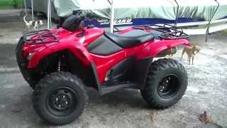 2008 Rancher 420 ES EFI 4x4 Overview [upl. by Cadman]