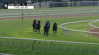 Flemington Jump Outs 5 Jan 2024 Jump Out 11 [upl. by Dnomaj]