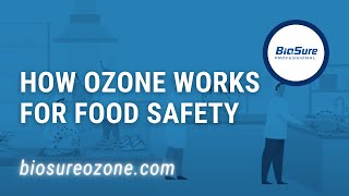 How Ozone Water Works for Food Safety【BioSure Professional】 [upl. by Aleinad]