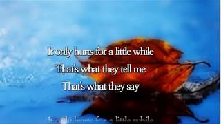 It only hurts for a little while Anne Murray with Lyrics [upl. by Naivaf641]