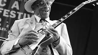 Hubert Sumlin  1987  Living The Blues  Dimitris Lesini Greece [upl. by Berhley]