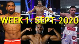 All Boxing Knockouts Highlights  September 2020 Week 1 [upl. by Aylmar]