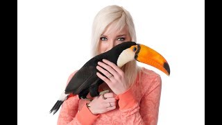 I Let My Toucan ATTACK My Husband  TOUCANS BITE [upl. by Bendicty]