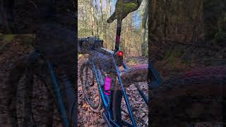 🚴‍♂️ TREK Checkpoint SL7  Gravel Bike in the Woods  Theyll Never Know Why 🚴‍♂️ [upl. by Kieran540]