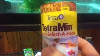 Tetra TetraMin 3 in 1 Select a Food Product Review [upl. by Sheree491]