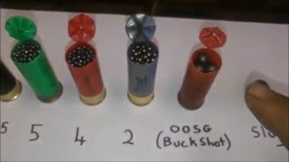 Shotgun Basics shot size [upl. by Malda]