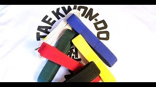 ITF Taekwondo Belt Order amp Color Meanings 🥋 [upl. by Ecinrev]