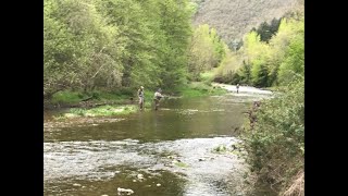 La Dourbie joyau de lAveyron 1ère partie pêche de la truite au toc [upl. by Ibob]