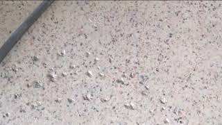 How to Deep Clean Terrazzo Tile Floors [upl. by Elocyn]