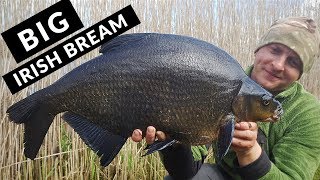 Bream Fishing  Memories of Specimen Bream from a Wild Irish Lough 2018 [upl. by Ynnol]