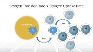 The Impact of Aeration on Cell Culture in Bioreactors Part 1 – Two Minute Tuesday Video [upl. by Sylas]