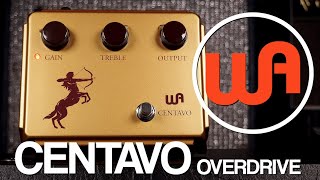 Warm Audio Centavo Overdrive [upl. by Traggat999]