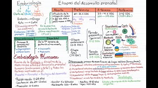 Embriología Curso completo Tema 1 Generalidades [upl. by Theo]