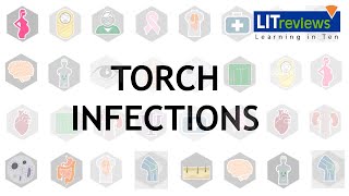 Torch Infections [upl. by Ahlgren]