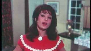 Padosan  313  Bollywood Movie  Sunil Dutt Kishore Kumar amp Saira Bano [upl. by Aroel]