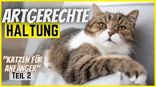 Katze artgerecht halten in 6 Schritten 🐈 Katzen für Anfänger Teil 23 🧶 [upl. by Anai]