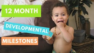 1 Year Old Typical Developmental  Developmental Milestones [upl. by Onihc]