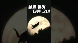 낮과 밤이 다른 그녀 OST  떳다 그녀 원곡 [upl. by Dru]