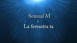 Semnal M  La fereastra ta versuri lyrics karaoke [upl. by Ahsinrad805]