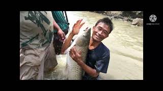 Traditional fishing at Doyang river organised by Nungying village 2022 [upl. by Anilra814]