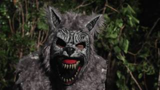 Werewolf Animotion Mask at Spirit Halloween [upl. by Yanffit]