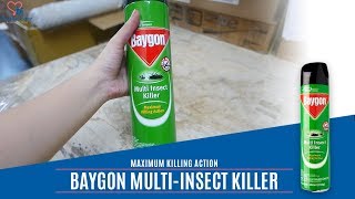 SPECIALLY FORMULATED Baygon Insect Spray for fastkilling power against insects [upl. by Nehte275]