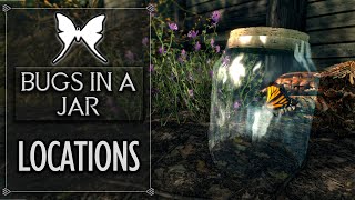 Skyrim  All Bugs In A Jar Locations [upl. by Ahsitra]