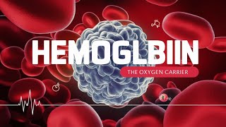 Haemoglobinhemoglobinfunction of haemoglobinwho haemoglobin function in bodytypes of haemoglobin [upl. by Elfie]