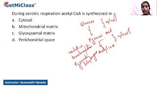 Aerobic respiration  KCET 11th Biology Respiration in Plants [upl. by Tillo]