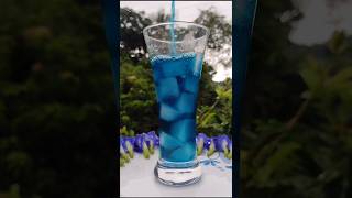 Butterfly Pea Flower Tea shortsyoutube trendingshorts shortsfeed trending shorts [upl. by Esila]