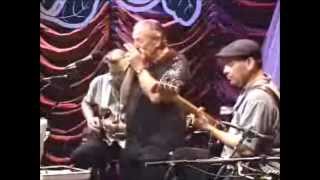 Charlie Musselwhite  Harmonica solo  Blues in A LIVE [upl. by Ennoid388]