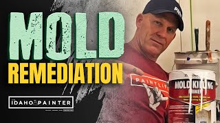 Mold Remediation How to Get Rid of Mold [upl. by Aratal]