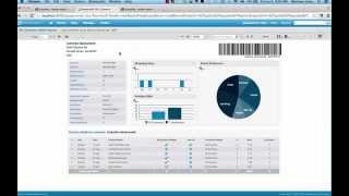 Visualizejs Embedding a Report with Parameters [upl. by Hannover]