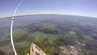 Hervey Bay Reef Fishing [upl. by Iruyas258]