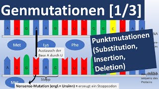 Genmutationen 13 Punktmutationen Insertion Substitution Deletion  Genetik Oberstufe [upl. by Darla]