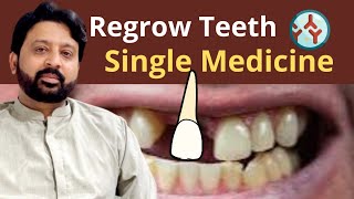 How to Regrow Your Teeth with a Single Medicine  New Japanese Research [upl. by Ut]