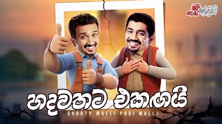 Chooty Malli Podi Malli  Hadawathata Ekagai හදවතට එකඟයි [upl. by Ileyan]