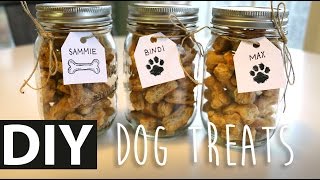 DIY Homemade Peanut Butter Dog Treats  ArtsyPaints [upl. by Hazen]