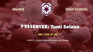 Lesson 6 Part 1 Protein Synthesis [upl. by Granese651]