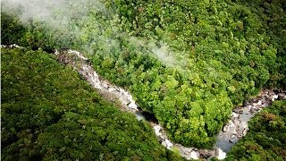 World Heritagelisted Daintree National Park is a TIME CAPSULE [upl. by Wareing]