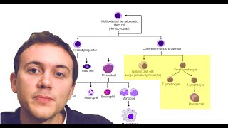 Blood Cancers Explained Leukemia Myeloma Lymphoma and more [upl. by Dian]