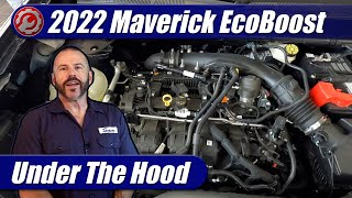 20222024 Ford Maverick 20 EcoBoost Engine Explained [upl. by Ostap]